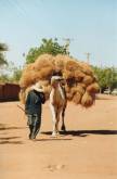 Dans les rues de Niamey / In the streets of Niamey